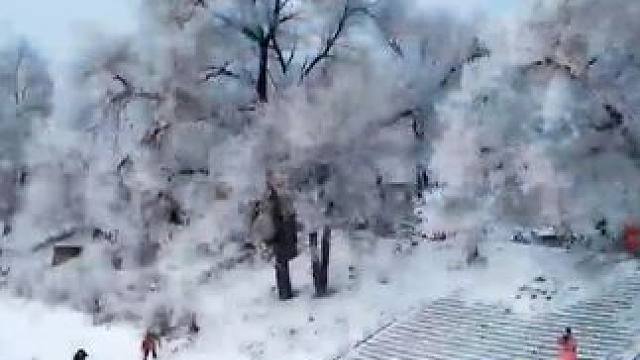 每日打卡：看看#哈尔滨 又整什么新花样了！#东北  #搞笑  #旅游