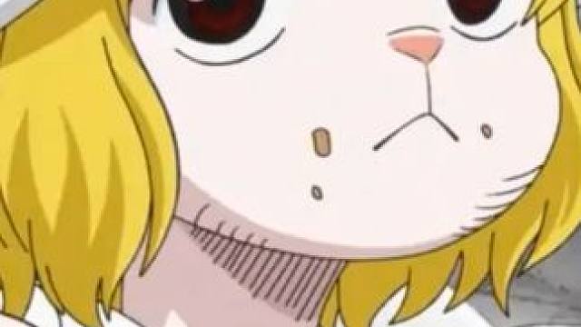 热血航线：新SS兔子“凯罗特”来了，应该下周四了吧 #热血航线 #兔子加洛特 #新传奇