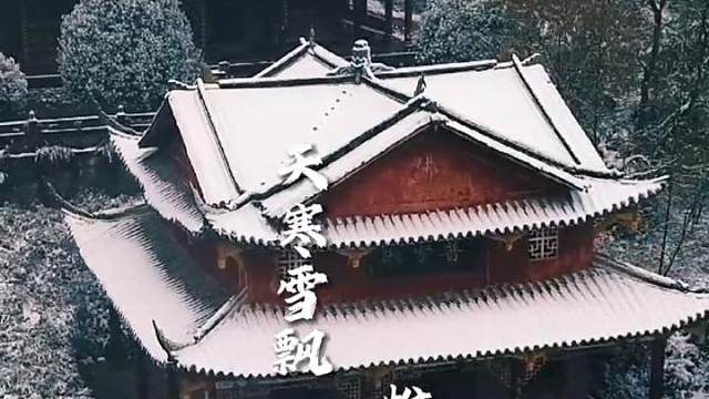 天寒雪飘 惟愿君安 #小寒