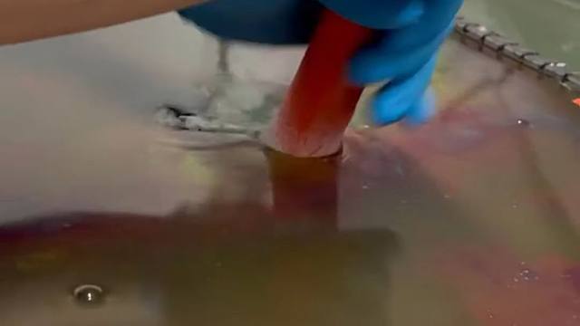 海外精选视频 海外短视频