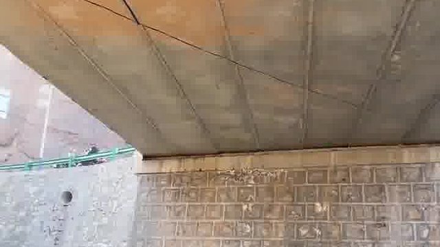 水至清则有大鱼