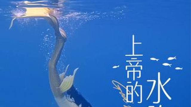 我在帕劳晒了四天，只为了看见上帝？#美人鱼 #2023总结