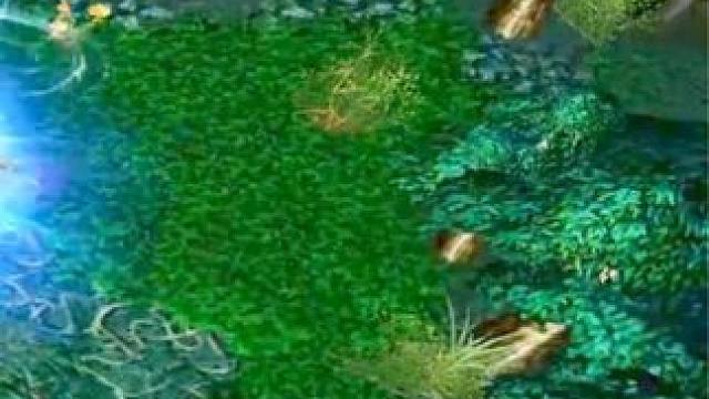 （三）大熊原声大碟，纷争面纱+红杖死灵法师