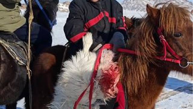 周末牧区男孩们叼羊比赛前准备一只山羊#马背上的民族 (编辑:努尔波拉提)