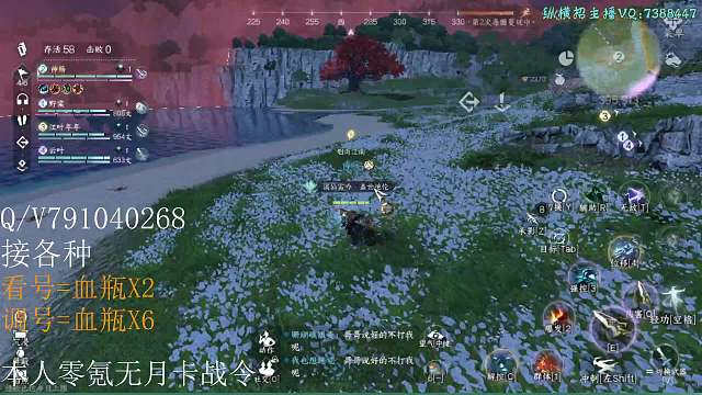 质量局四排野排