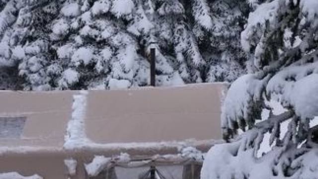 这才是真资格极品夫妻，在风力达到8级暴风雪森林，睡得还真香！ #户外帐篷露营 #暴风雪露营