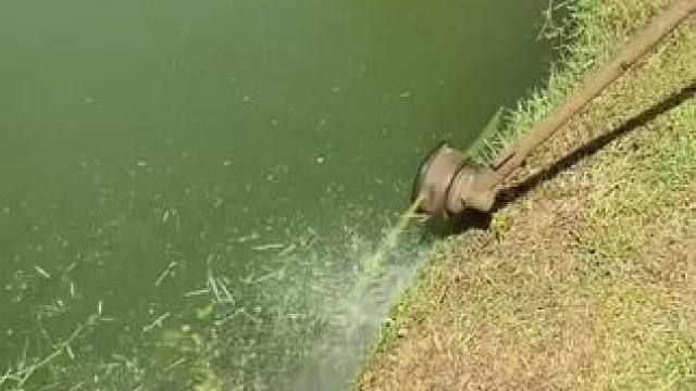 我发布了一个新视频，快来围观吧！