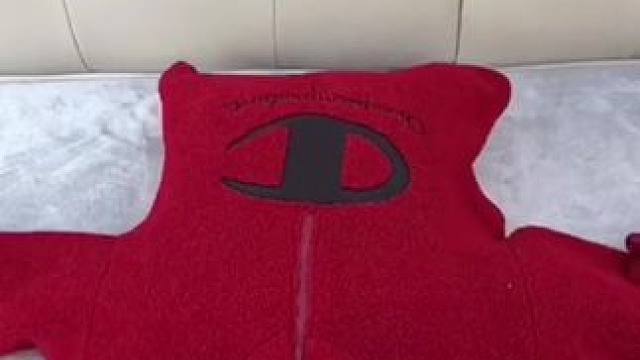 洗完的羽绒服总是一坨一坨的，或者平时着急穿的衣服都可以用这个烘干袋，洗完的羽绒服边吹边拍打，不仅干的