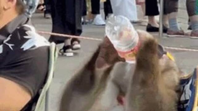 小孩哥：笑毛啊！我就是北大学美容的！#搞笑 #万万没想到 #娱乐评论大赏