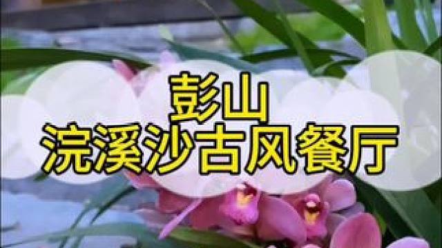 寻一处幽静觅一份清欢~