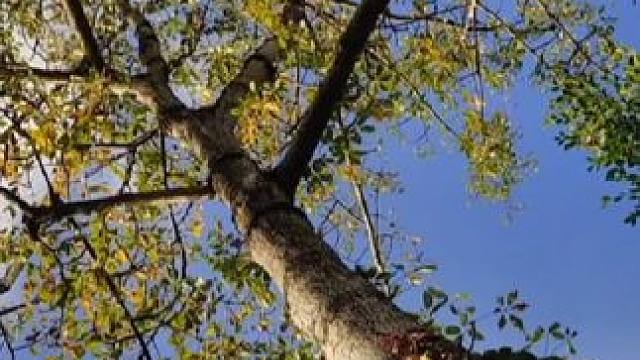 冬日暖阳#治愈系风景 ##不加滤镜的大自然 #换个角度发现美 #风景 #感受大自然的气息和美景