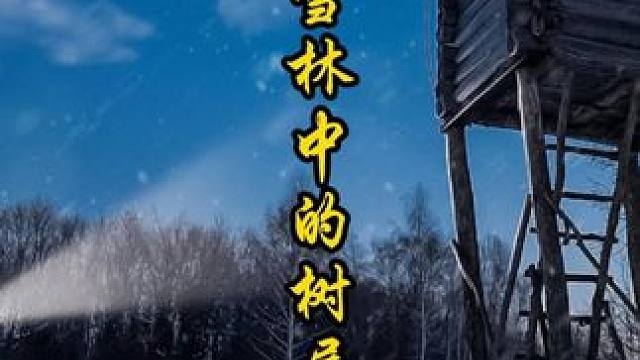 旷野雪林中的树屋里过夜 #野外生存 #荒野独居 #荒野生存 #解压 #助眠
