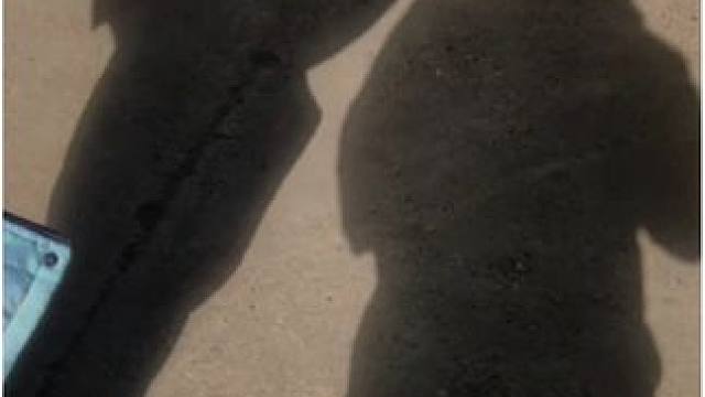 暖和天气的影子#阳光正好 #跟着节奏嗨起来 #冬天 #冬日暖阳 #蹦蹦跳跳没烦恼