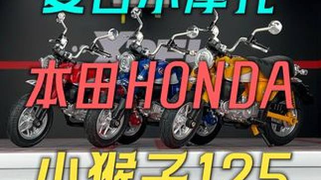 超可爱的本田小猴子125合金机车模型震撼来袭 #合金车模 #机车模型 #本田小猴子
