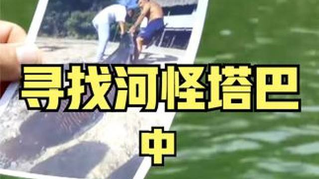 河中巨怪：杰里米前往马来西亚寻找巨型鲶鱼塔巴 #记录片 #河中巨怪 #钓鱼 #户外