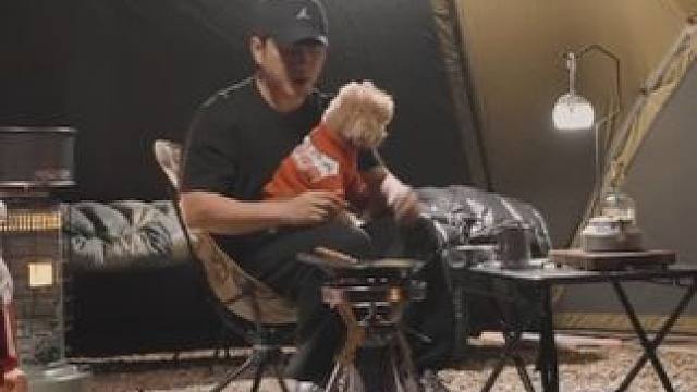 冬雨中带着狗狗享受露营，在温暖的帐篷里享受孤独 #露营 #雨天露营 #沉浸式露营