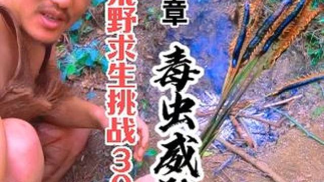 求生武陵山 十三章毒虫威胁 裸体荒野求生挑战30天第十一天，庇护所出现大量蜈蚣，烧烤撸串，制作火折子