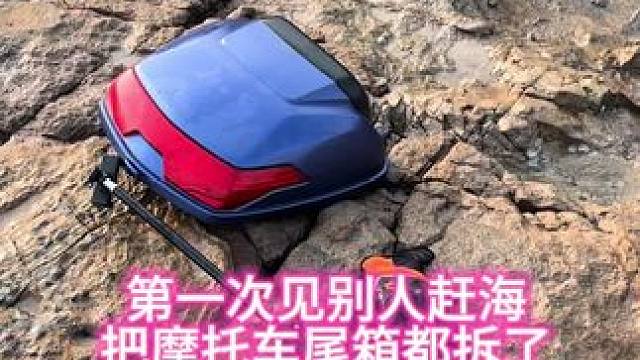 人才呀！必须要关注一下 #户外赶海抓海鲜 #户外露营