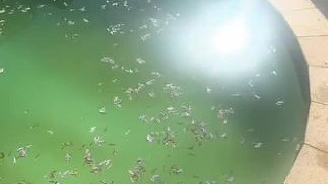 我发布了一个新视频，快来围观吧！