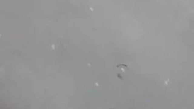 我发布了一个新视频，快来围观吧！