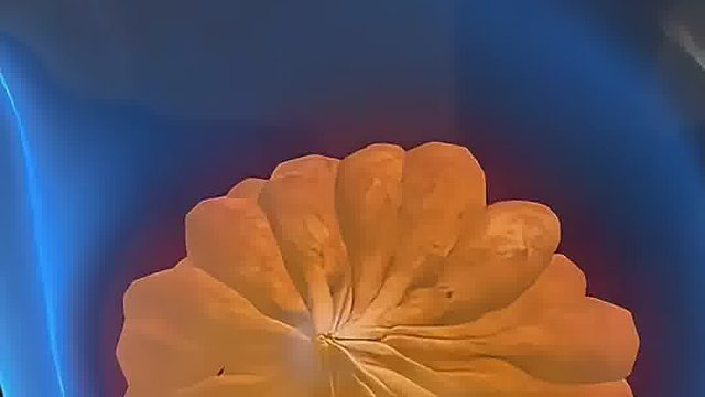 30-50岁女性要小心乳腺问题