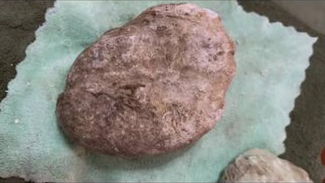 我发布了一个新视频，快来围观吧！