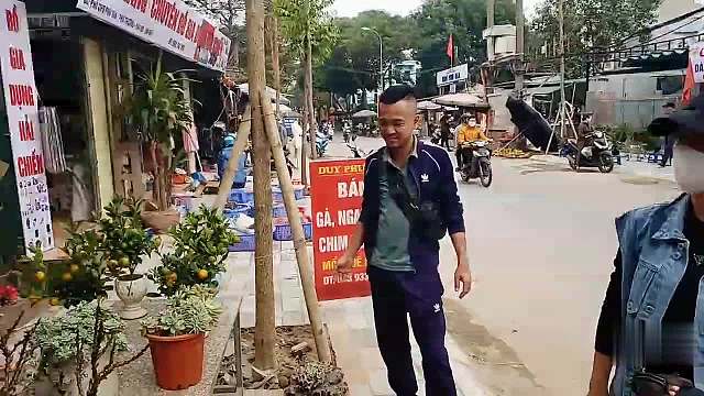 【黄三儿在越南】越南盆景可以出租？