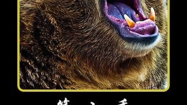意外收获豪猪，老猎人利用皮毛制成毛笔#纪录片 #户外 #荒野求生 #野外生活纪录片