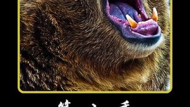 山地人的狩猎生活#纪录片 #户外 #荒野求生 #我的观影报告