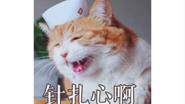 #繁花开虐了  啊啊受不了了！我的意难平！#繁花