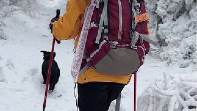 嵩山雪地徒步️这里的雾凇太美了。变三观，变模样，变心态，仅仅不到一年。
#一场大雪美如画 #雪地拍照