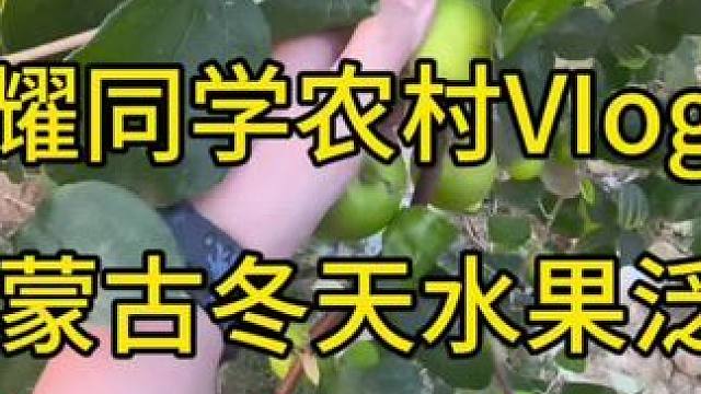 村里的草莓泛滥了#草莓采摘园