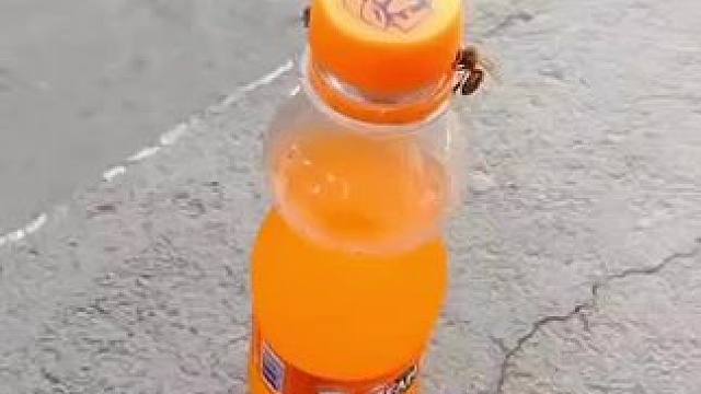 我发布了一个新视频，快来围观吧！