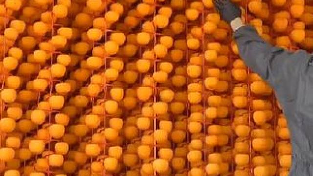 原来柿饼是这样制作出来的，味道软糯可口，甜润可口#柿饼 #柿子#流心柿饼