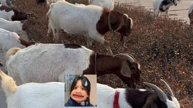 兄弟们简简单单吃个羊头#浇给 #灵魂汁子浇给 #恶魔低语