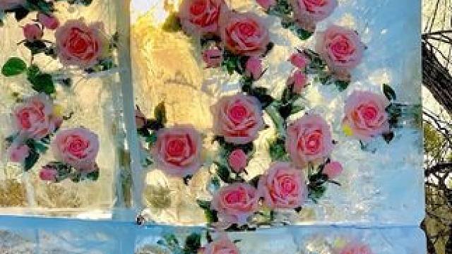 这里的雪会消融，但是人心不会#哈尔滨 #东北 #感动