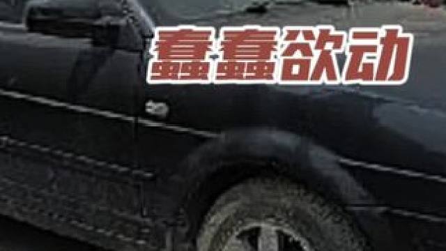 两箱油大军蠢蠢欲动 #新能源领航计划 汽车 #带你懂车 #新能源