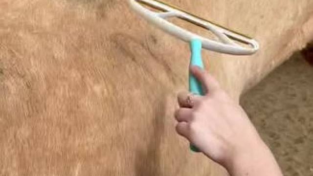 我发布了一个新视频，快来围观吧！