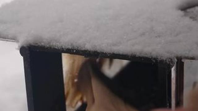 冬日暖柿#露营报告