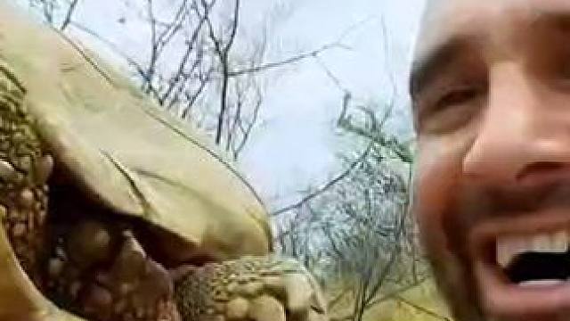 纳米比亚求生，挨饿专家居然过上皇室生活 #德爷荒野求生 #荒野求生 #野外生活纪录片