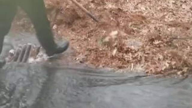 我发布了一个新视频，快来围观吧！