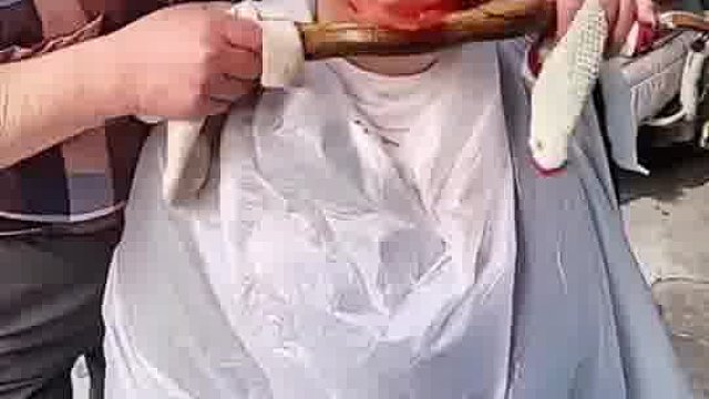 各位大神科普一下～