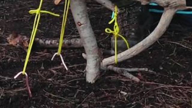 自制悬浮户外茶几#露营报告 #野营 #露营技巧报告