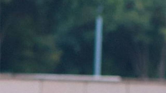 同情谁就肩负谁的命运 #人性 #人心 #险恶 #农夫与蛇 #怂恿 #溺水 #娱乐评论大赏 