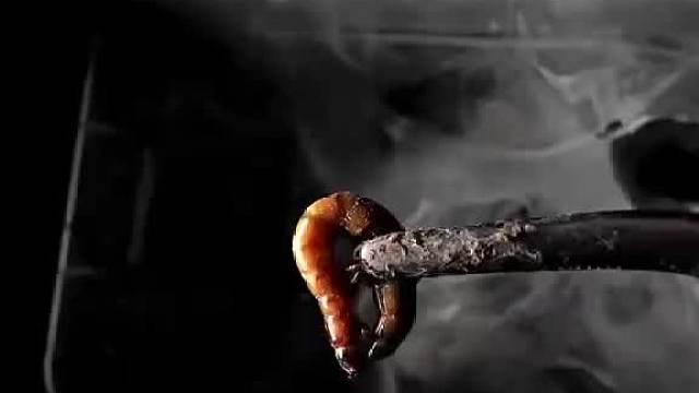 为什么蜘蛛网不会黏住蜘蛛？别的虫子就不行