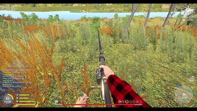 自己号的第一条星