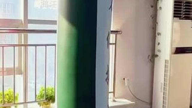 种一棵树最好的时间是十年前，其次就是现在。#万体搏击