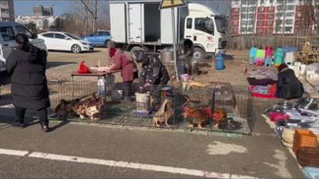 我发布了一个新视频，快来围观吧！