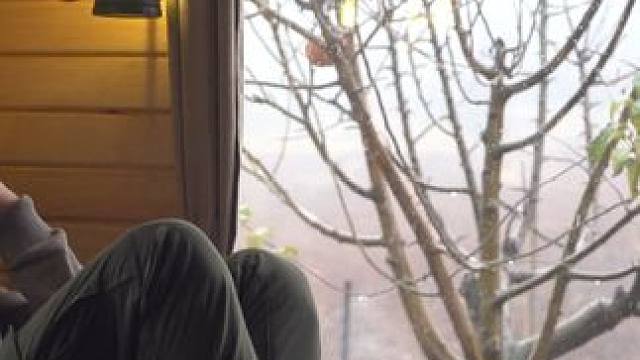 独自看守万亩林场，居住在一栋小木屋里面，清闲的小日子还挺奢华 #户外生存日记