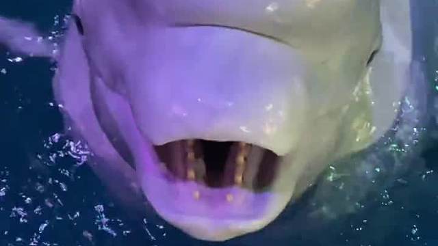 温度刚刚好 懵逼不伤脑